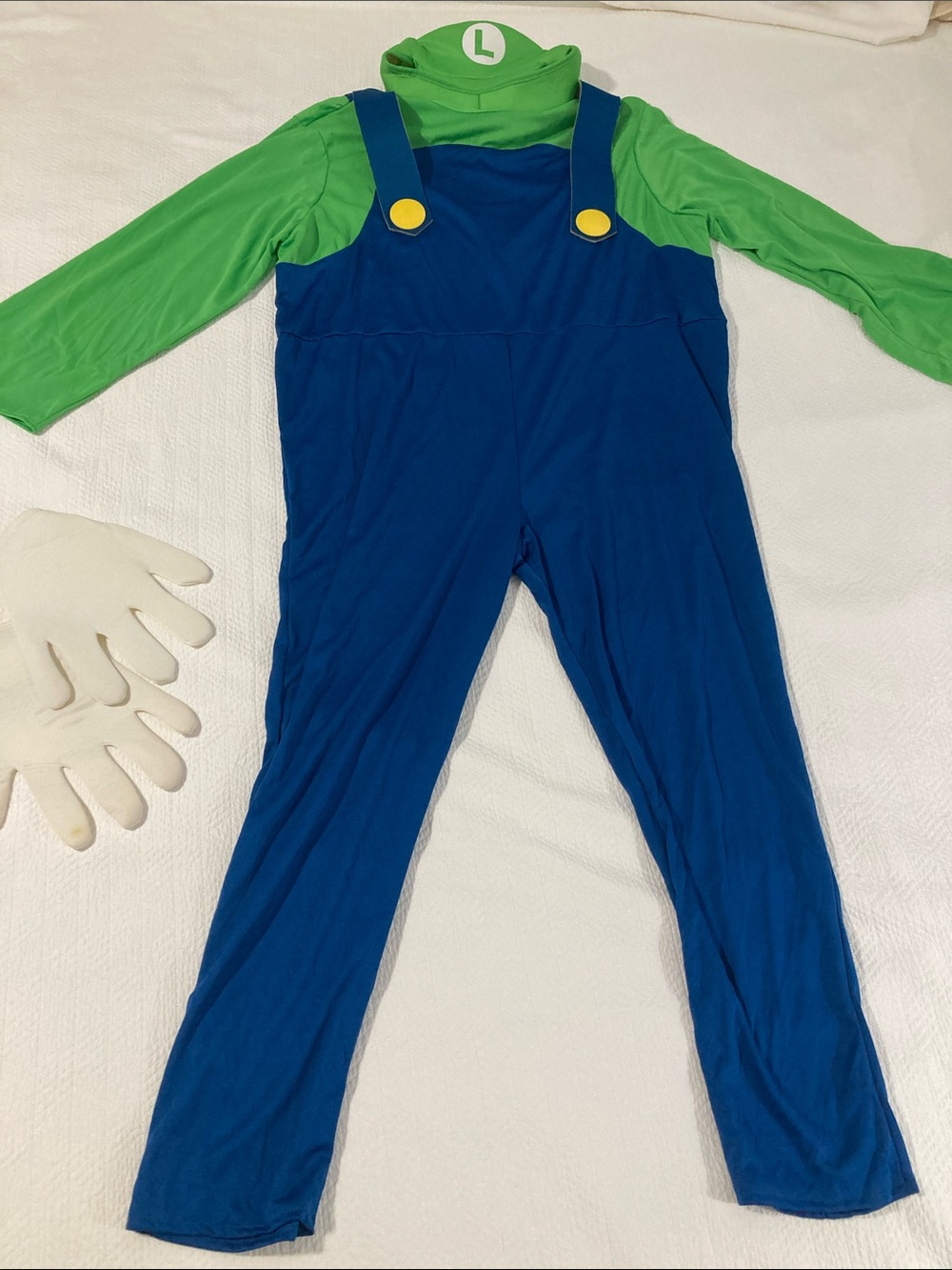 Adult Luigi costume
